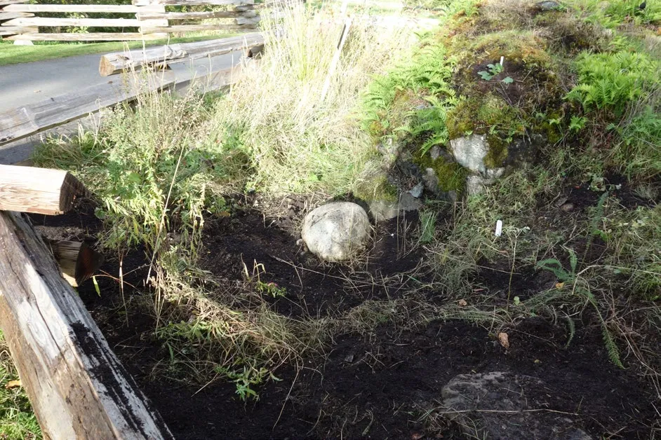 After photo of the same site in Portage Park with cleared soil and stone features