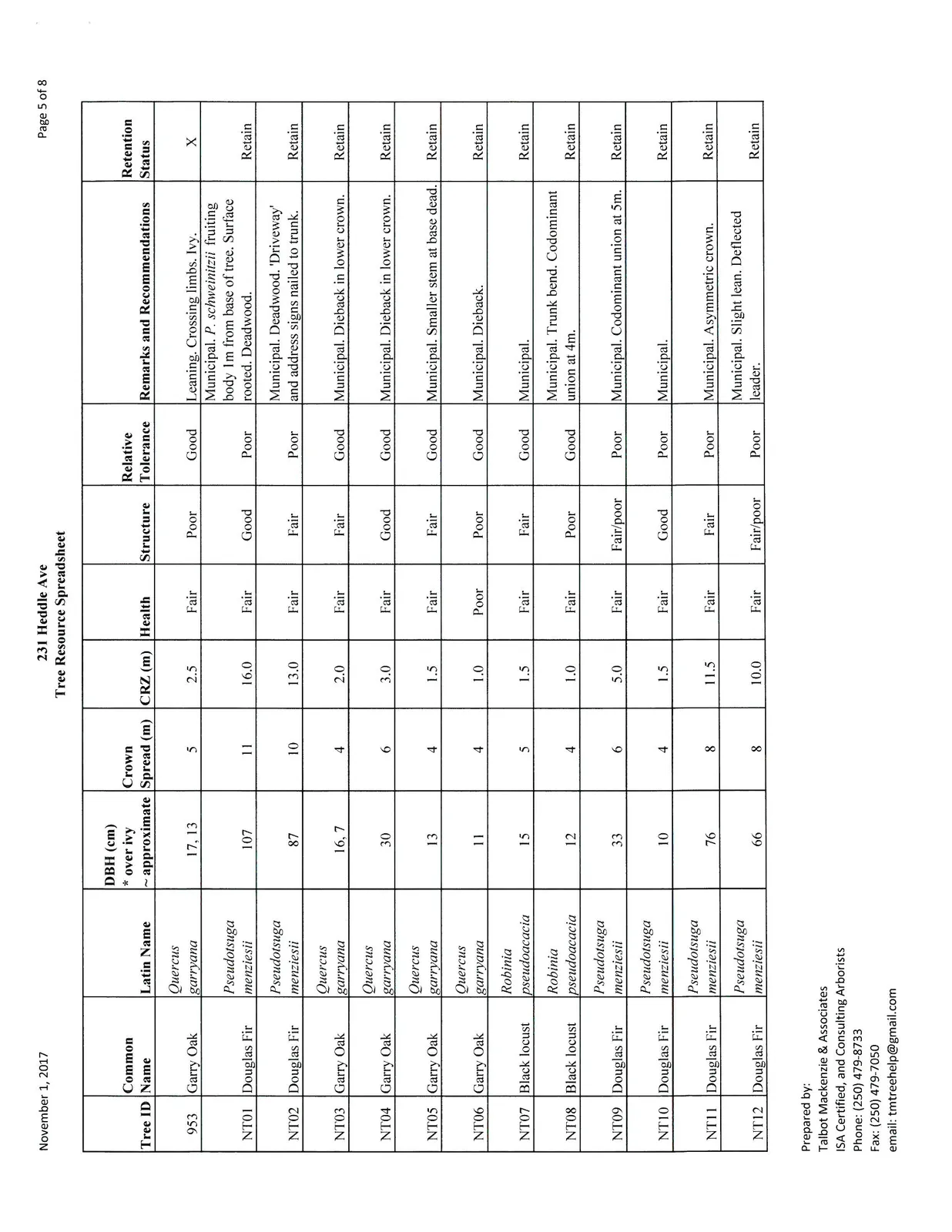 Page 5 of Tree Resource Spreadsheet, Trees 953-NT12