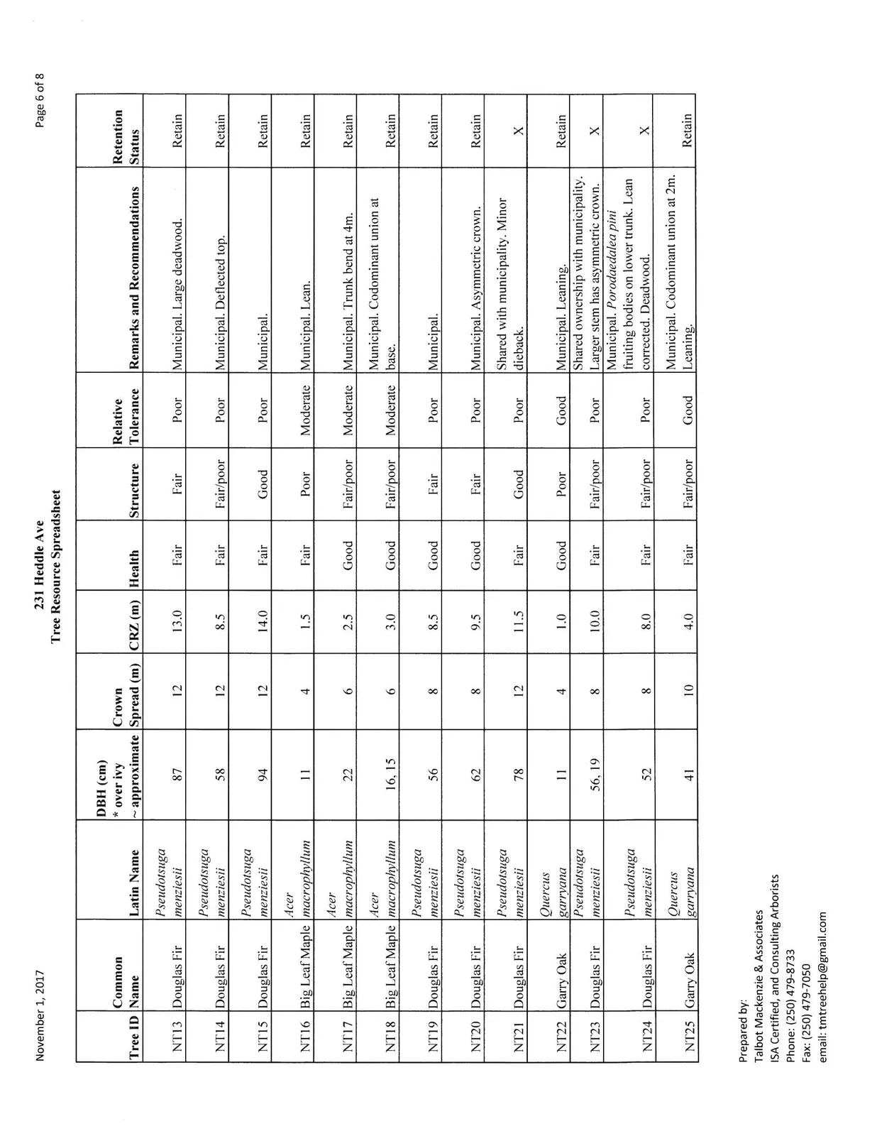 Page 6 of Tree Resource Spreadsheet, Trees NT13-NT25