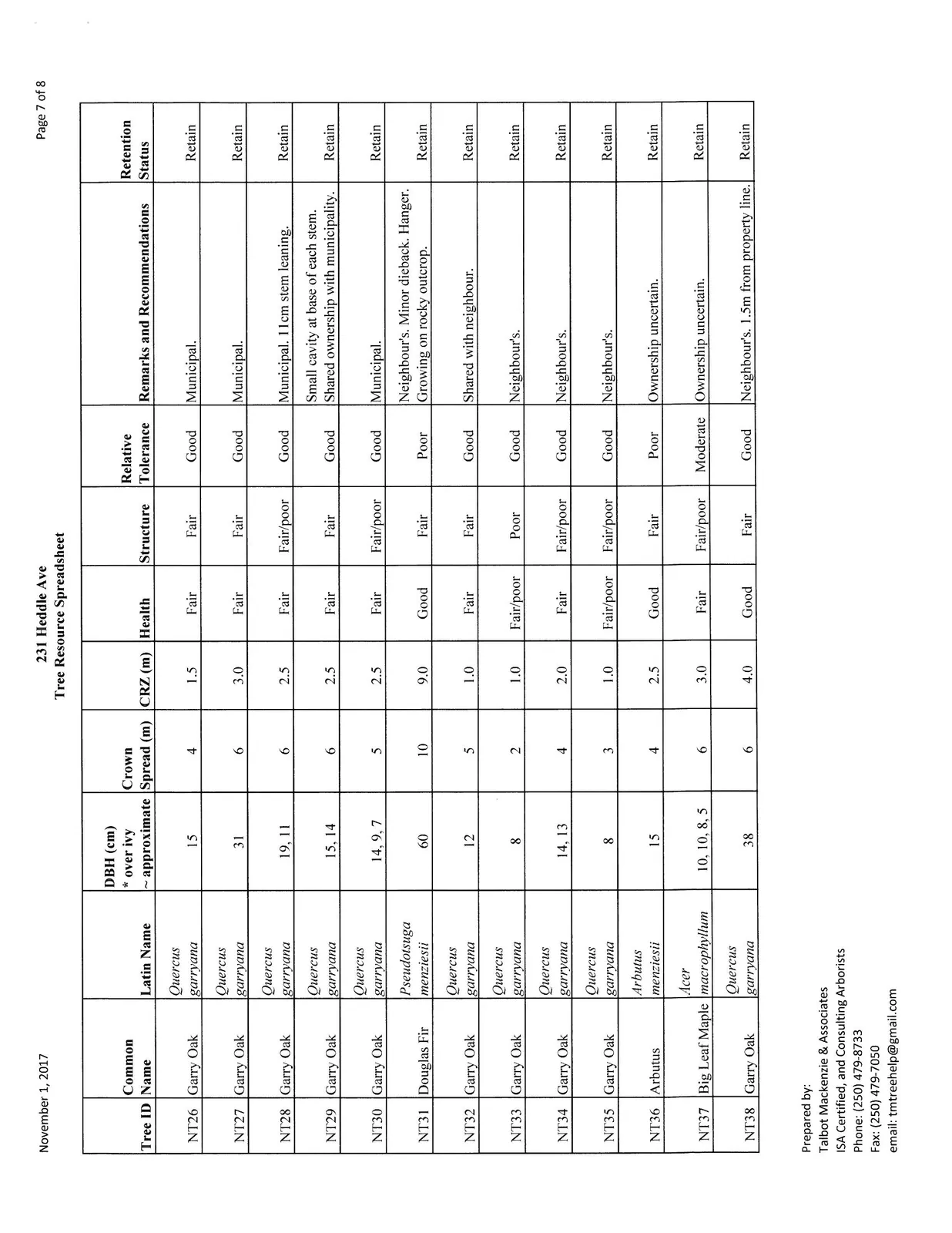 Page 7 of Tree Resource Spreadsheet, Trees NT26-NT38