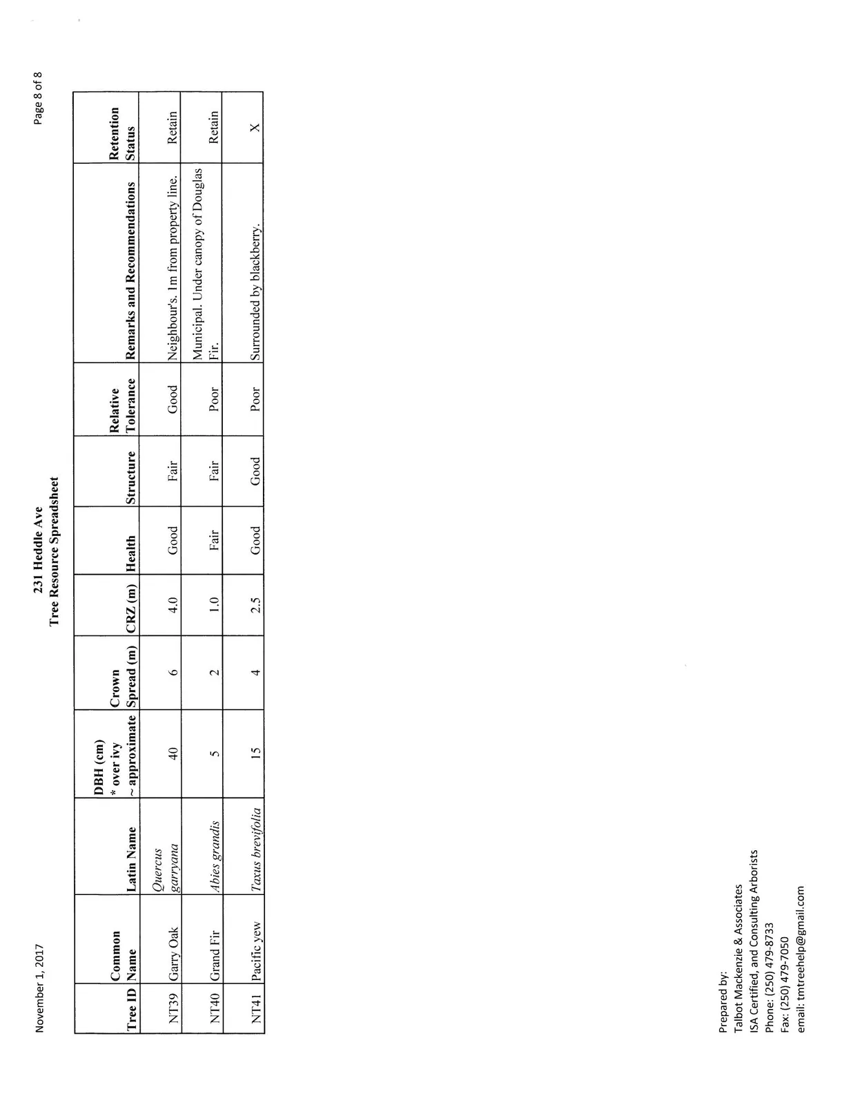 Page 8 of Tree Resource Spreadsheet, Trees NT39-NT41
