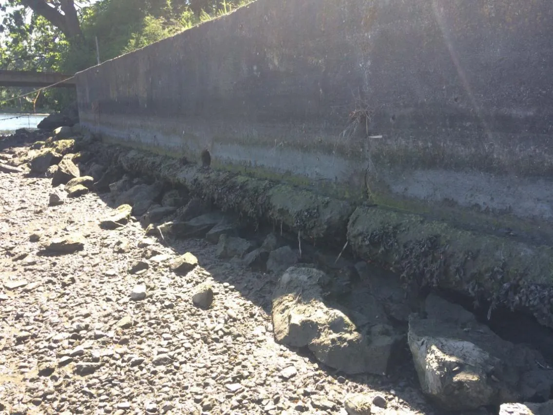 Figure 5. Sea-wall to south-east of proposed boat launch showing undermining and boulders/gravel.