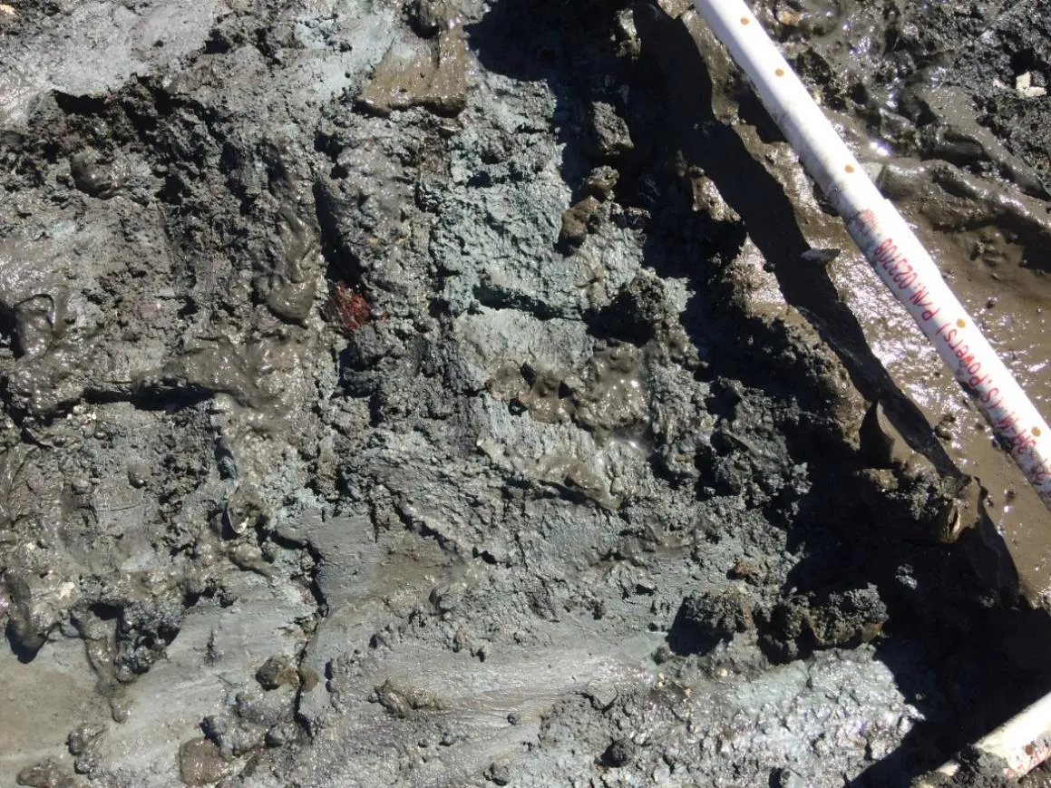 Figure 13. Second quadrat, showing depth of gravel over dense blue clay.