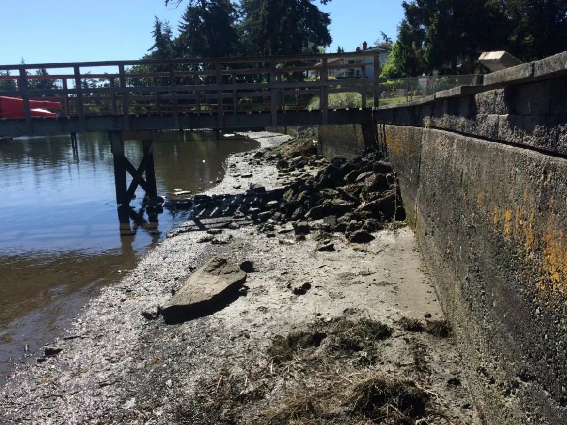 Figure 14. Rock and concrete rubble piled at base of sea-wall located to north west of proposed boat launch.