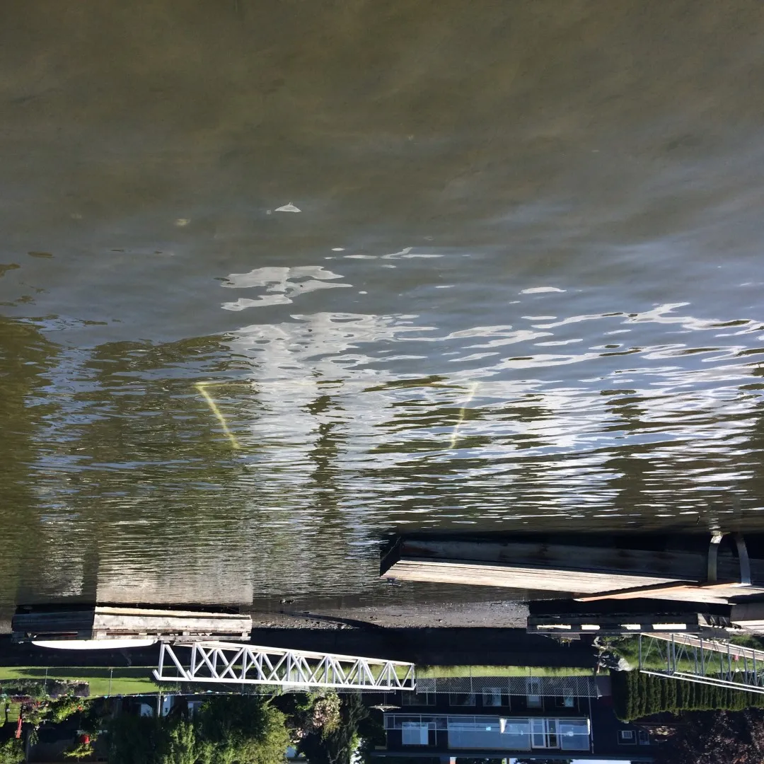 Figure 20. Location of transect 5 off float of dock to north of proposed boat ramp.