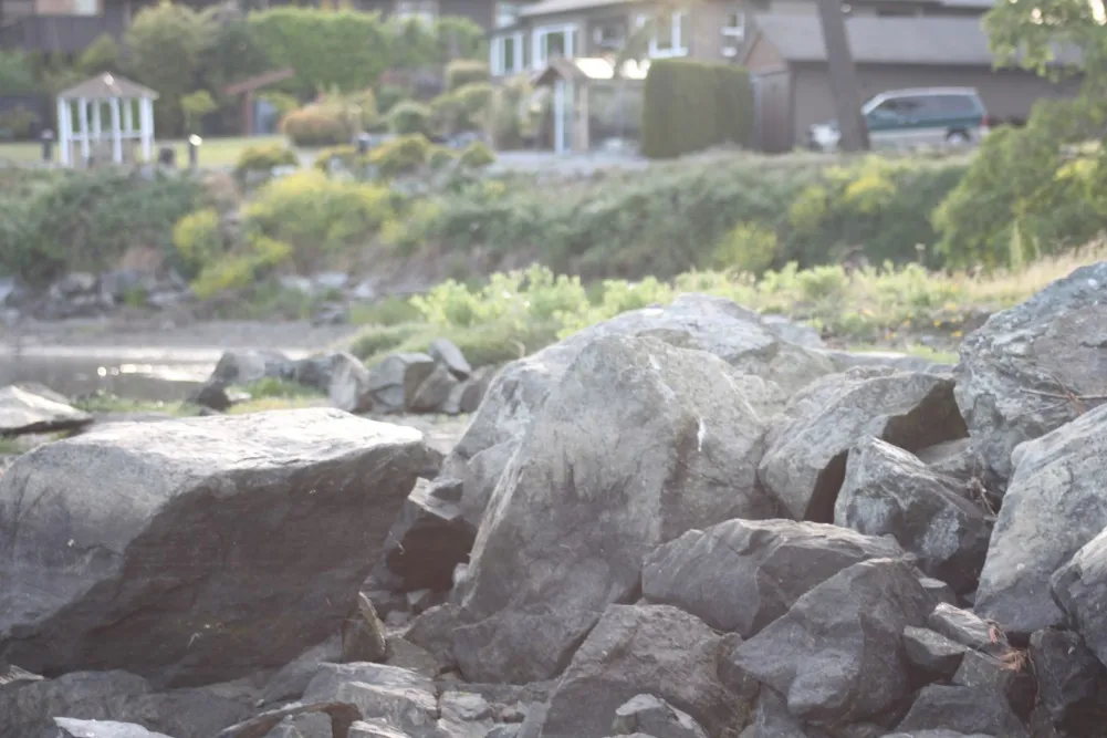 Figure 25. Rock rip-rap at alternate Trans-Canada Highway site.