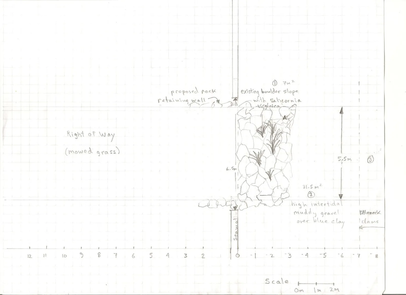 Figure 33. Scale diagram of upper intertidal and subtidal zone showing proposed ramp and basin design.
