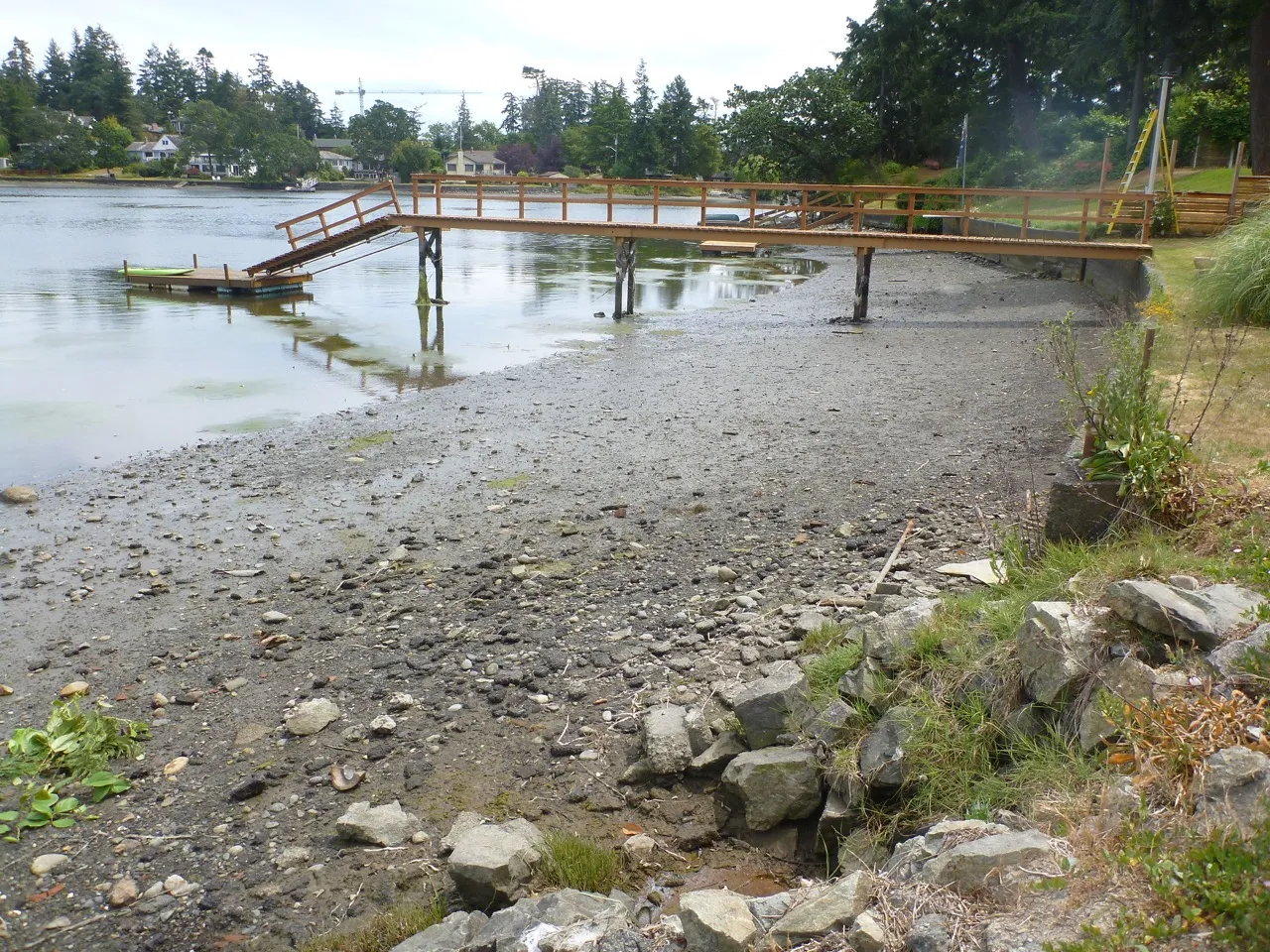 Figure 40. Photo of intertidal area showing the extent of the drive lane with grass pavers and the excavated basin.