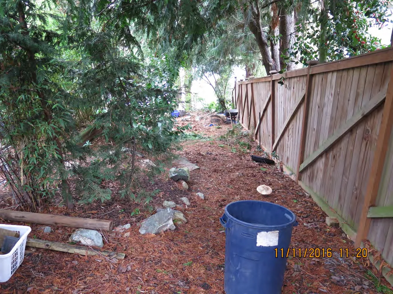 View looking north towards the water from the same location as Figure 2.2, showing garden encroachment