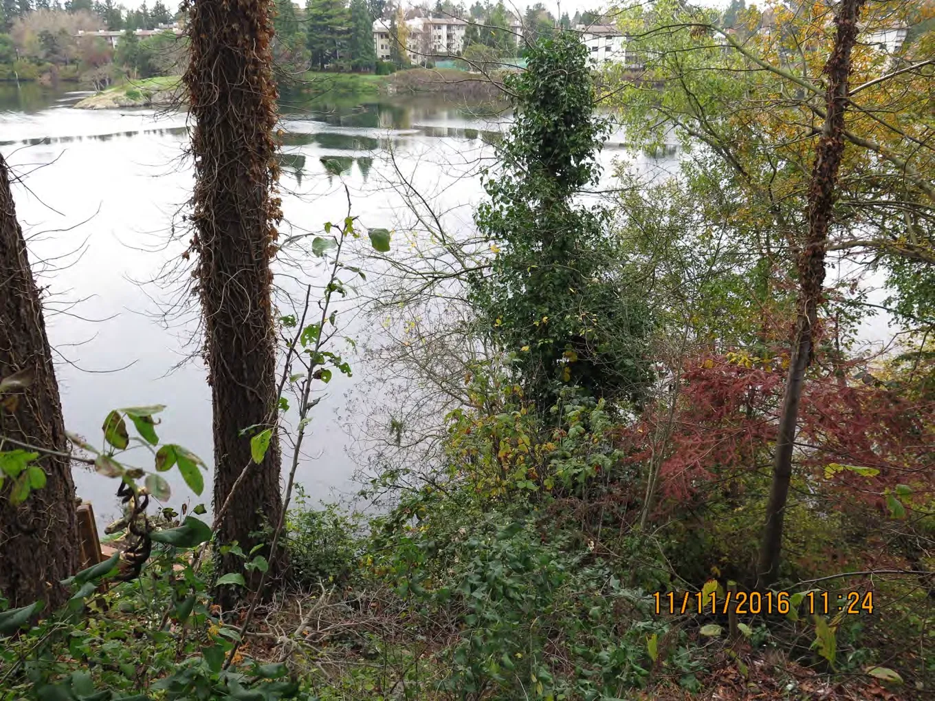 View facing the waterfront from the location of the topsoil piles in Figure 2.4