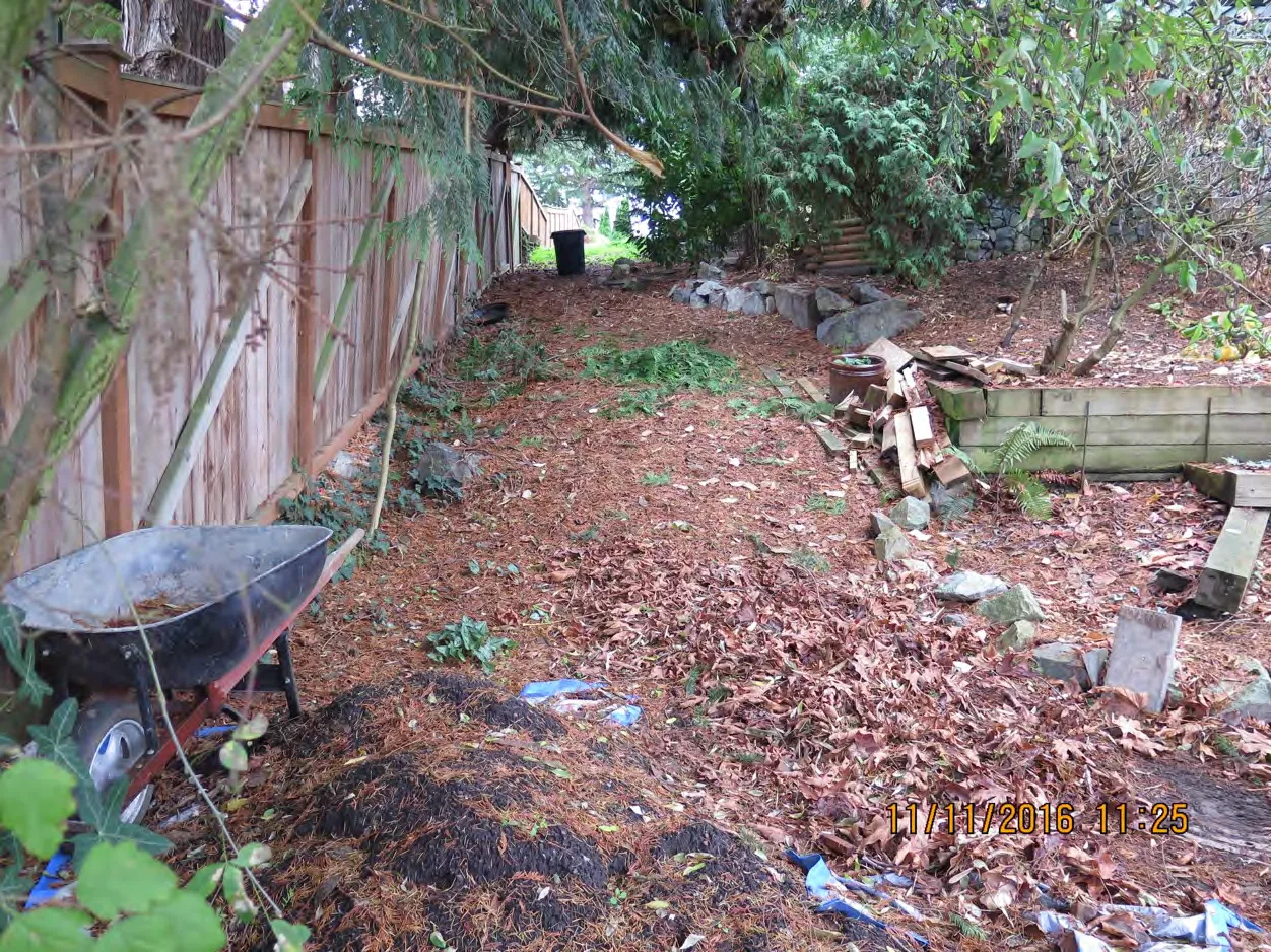 View facing south from the same location as Figure 2.5 showing garden materials