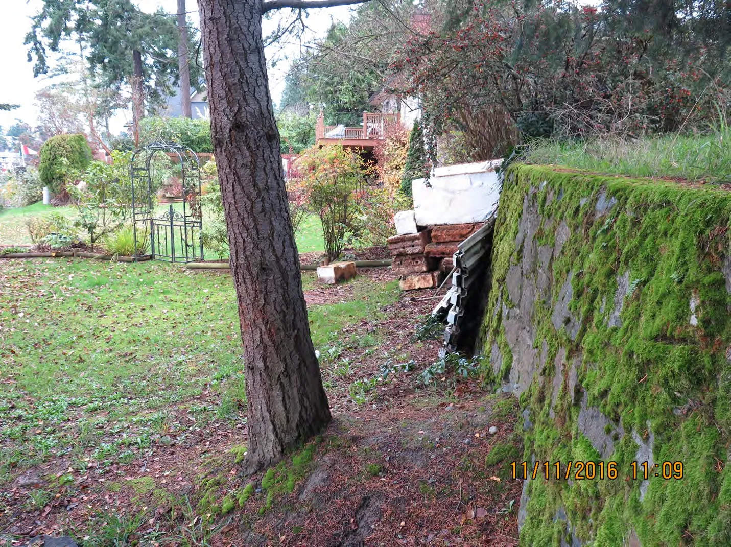 Residential garden extension at Arcadia Street