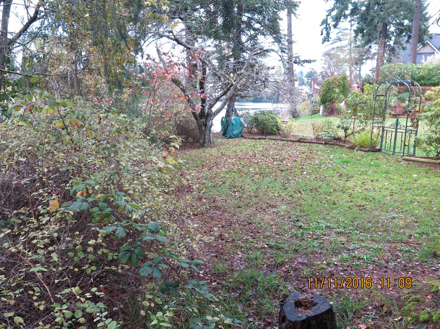 View of gate and flowerbeds at Arcadia Street