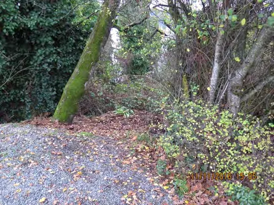 Overgrown public municipal pathway at Grange Road