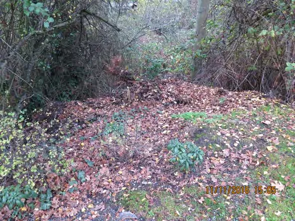 Garden clippings on public land at Grange Road