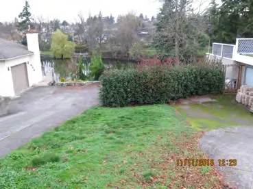 Public access area behind shrubbery at Mesher Place