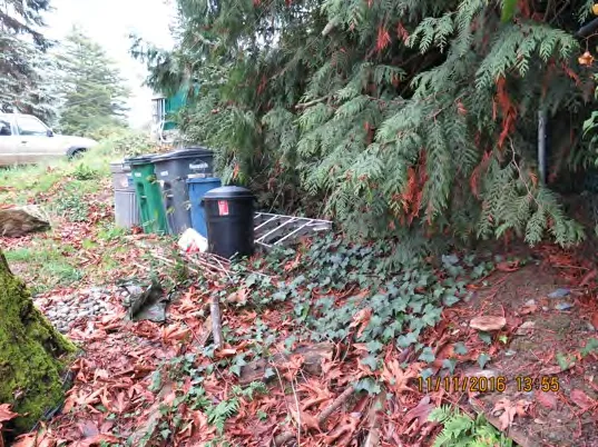 Garbage station and debris on public land at Murray Drive