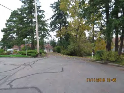 End of Aral Road facing north