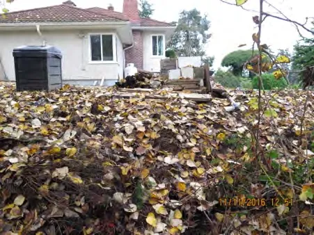 Garden clippings and debris on public land at Aral Road