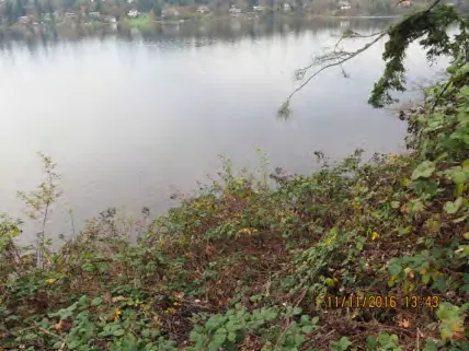 Shoreline at Aral Road facing Northeast