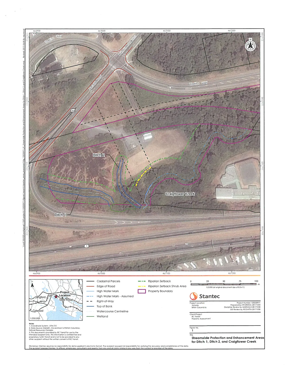 Aerial map titled "Streamside Protection and Enhancement Areas for Ditch 1, Ditch 2, and Craigflower Creek" showing cadastral parcels, edge of road, high water marks, right-of-way, top of bank, watercourse centerlines, wetlands, riparian setbacks, and property boundaries.