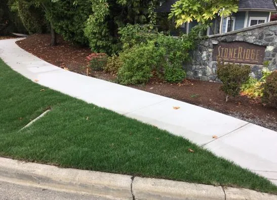 Sidewalk Replacement - Watkiss Way at Stoneridge