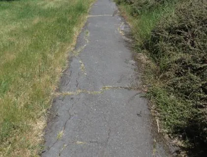 before photo of the path in Portage Inlet Linear Park