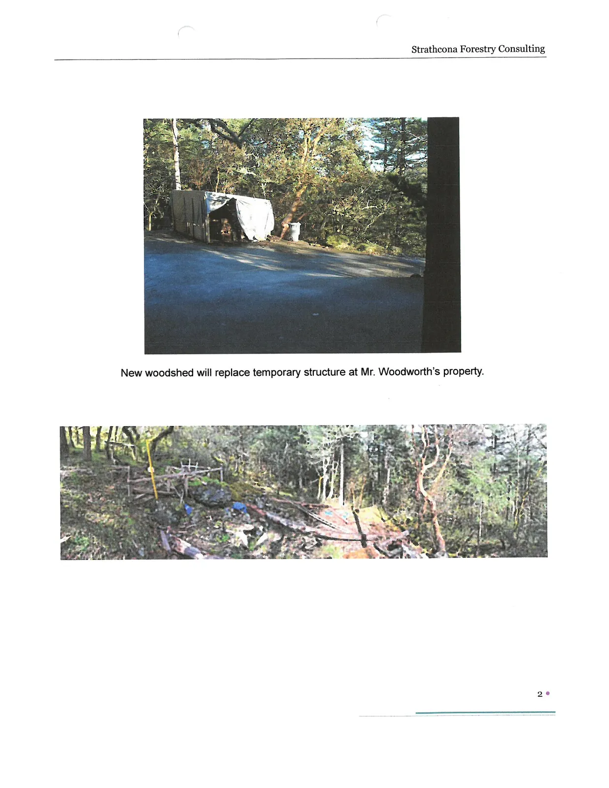 Top photo showing a temporary tarped structure on a driveway, followed by a bottom photo of a wooded, sloping area with trees and ground debris.