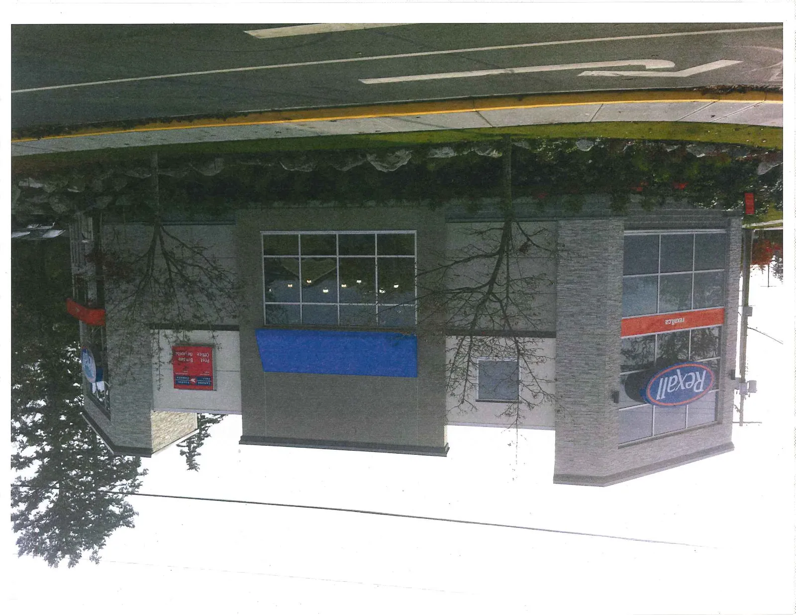Street-level view of the building through trees, showing the pharmacy entrance and signage.