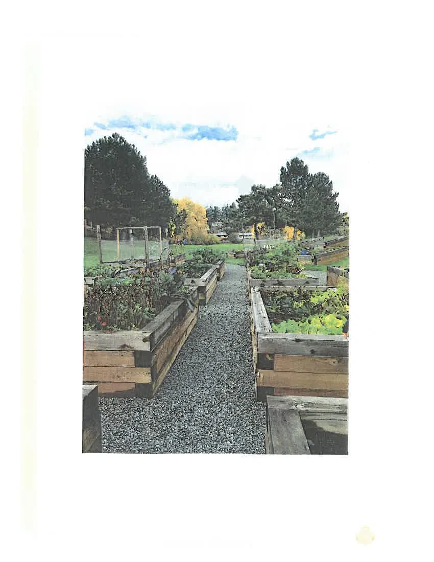Photo of elevated wooden planter boxes in a community garden under a cloudy blue sky