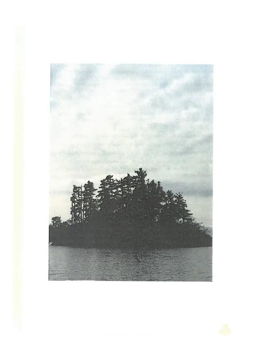 Photo of a small, heavily treed island in a body of water under an overcast sky