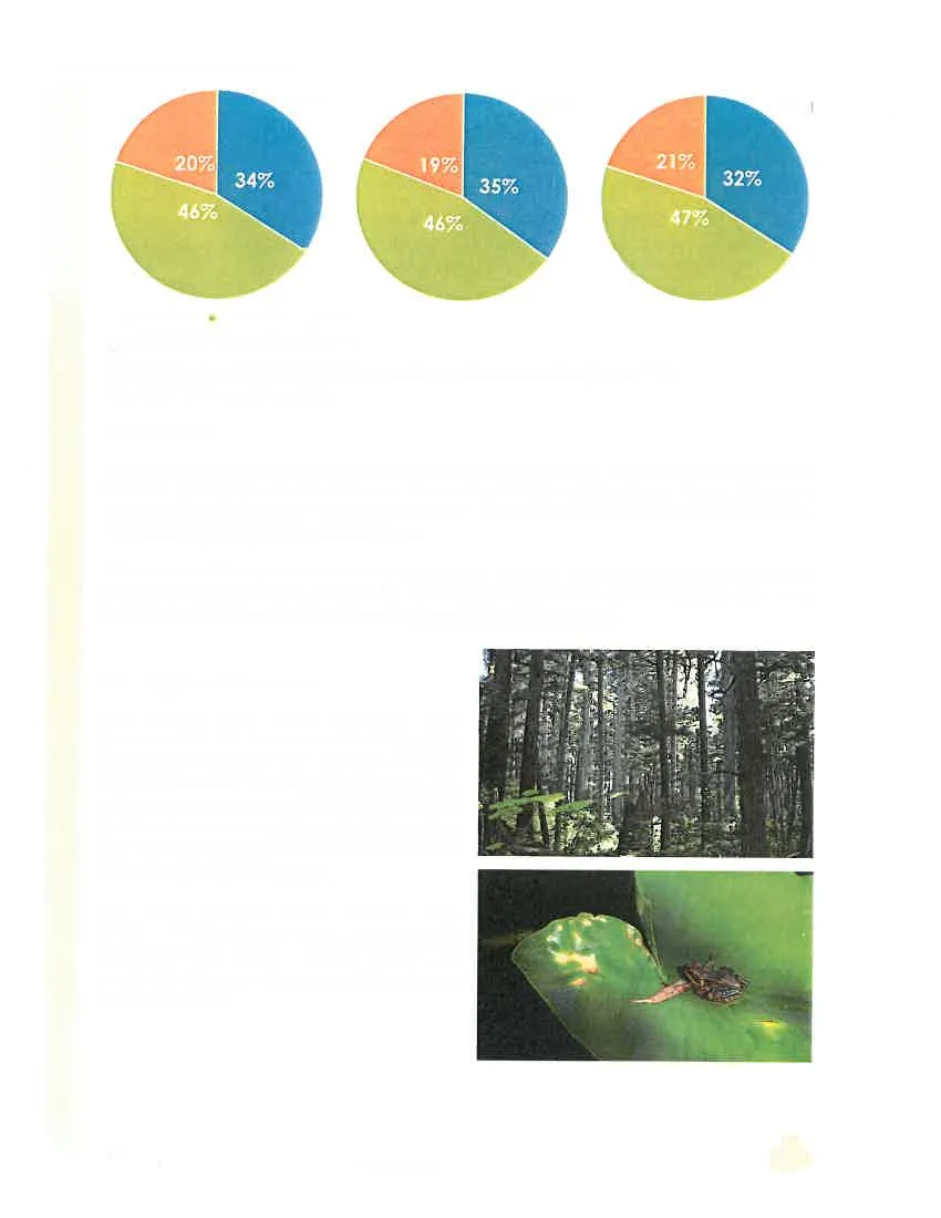 Figure 3: Pie charts showing "Households with Children" trends for years 2001 (34%), 2006 (35%), and 2011 (32%)