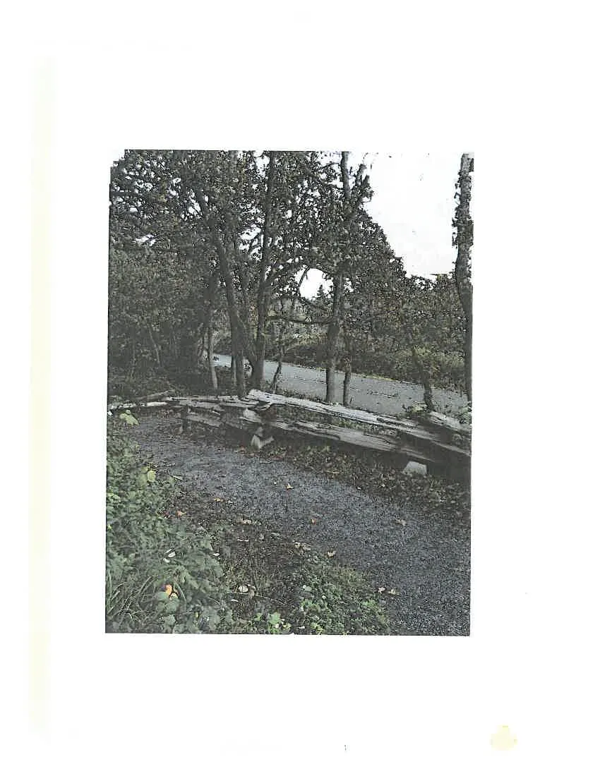 Photo of a shaded trail through Garry Oak trees with a split-rail fence
