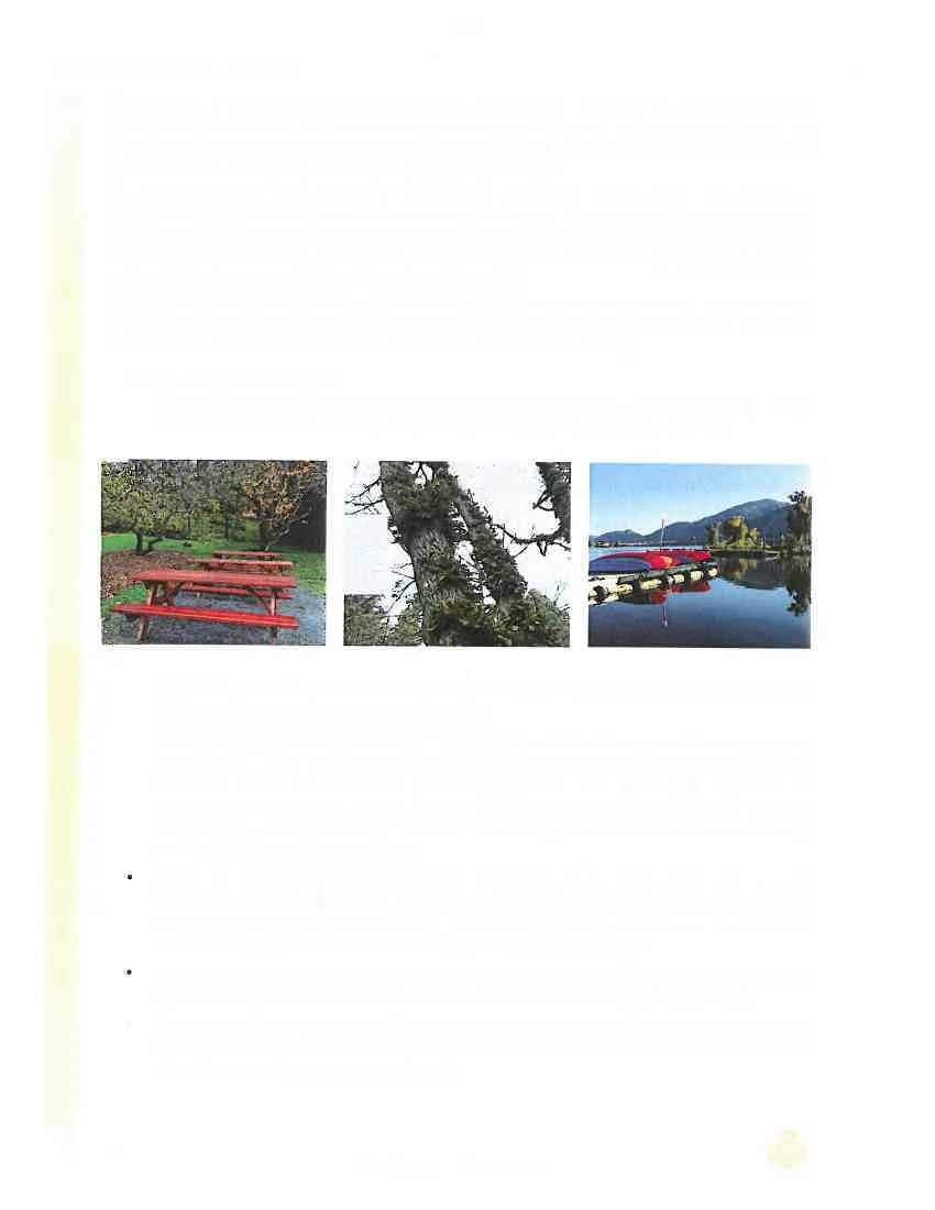 Collage showing park amenities: a red picnic table, a mossy tree trunk, and canoes at a waterfront dock
