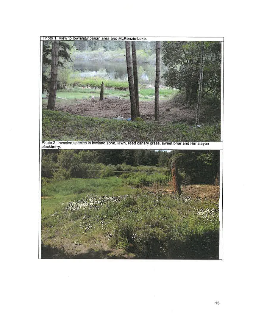 Photo 1. View to lowland/riparian area and McKenzie Lake