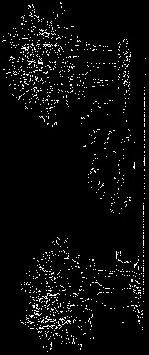 Cross-section rendering showing the dock structure relative to shoreline vegetation