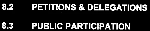 Section headers for Petitions & Delegations and Public Participation