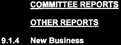 Section headers for Committee Reports, Other Reports, and New Business