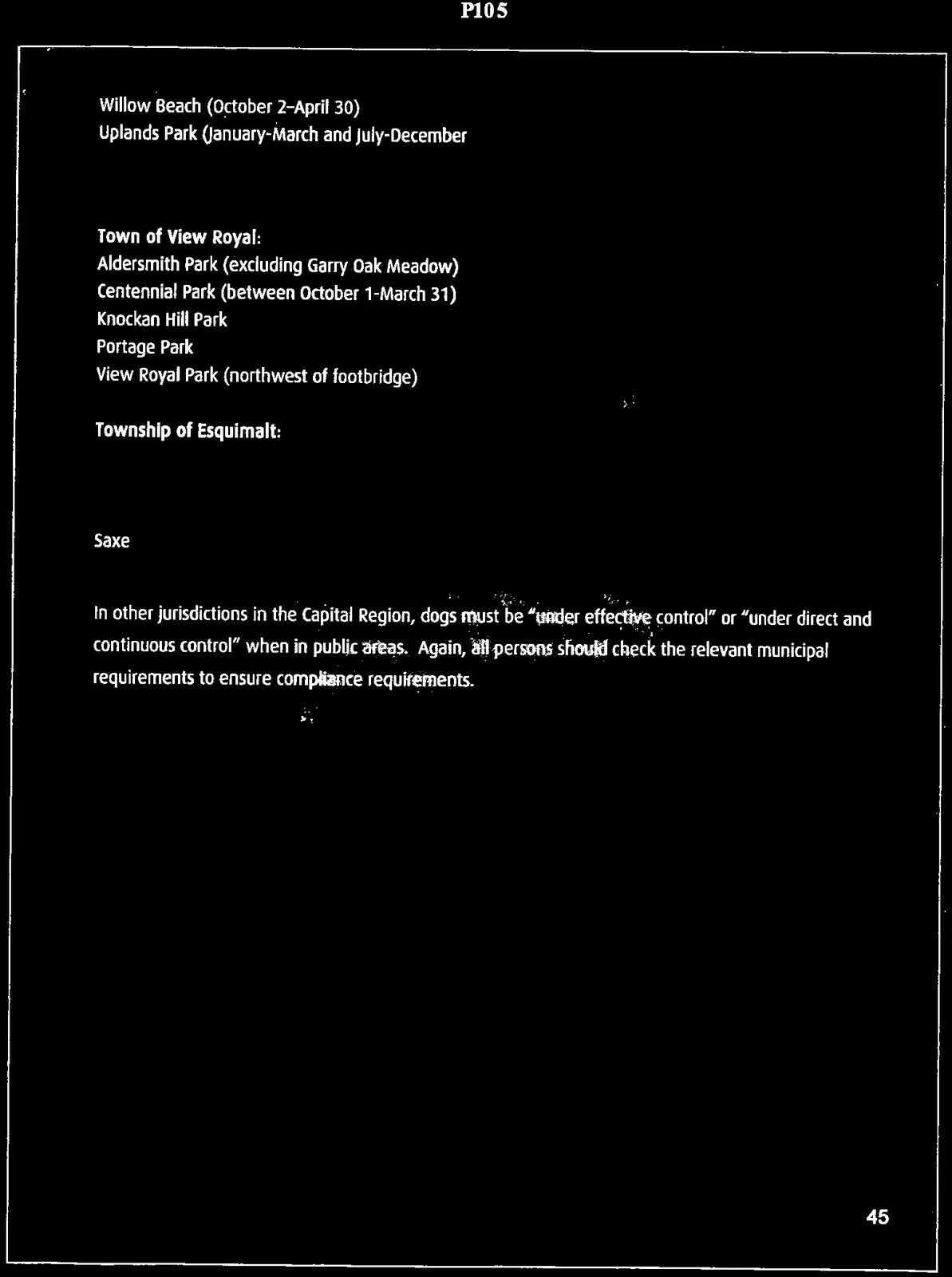 Document image