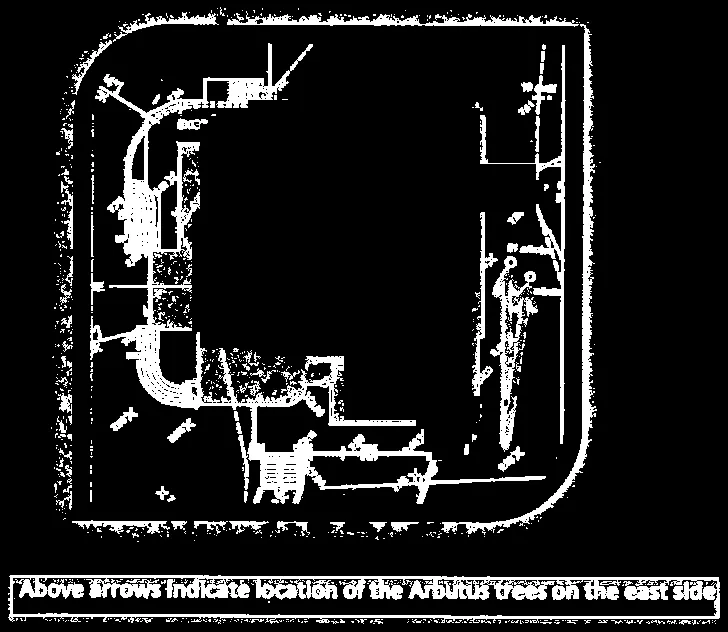 Detailed site plan with arrows indicating the specific locations of Arbutus trees on the east side of the property