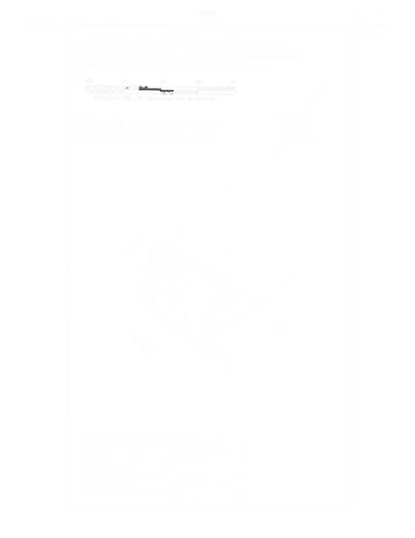 Scale bar for Lot 20 plan