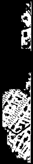 Small vertical excerpt from the orthophoto showing a section labeled "Middle Rd".