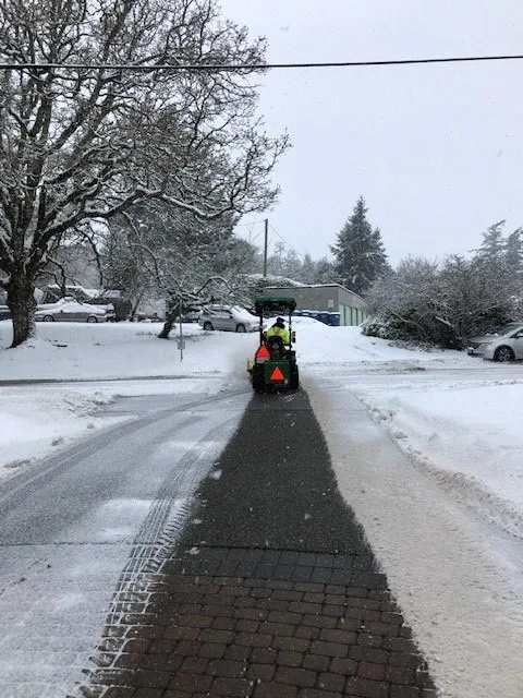 Parks Staff operating a tractor with a sweeper attachment clearing snow on a walkway