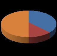 Pie chart showing the distribution of monthly permit types, including Single Family, Multi-Family, and Plumbing