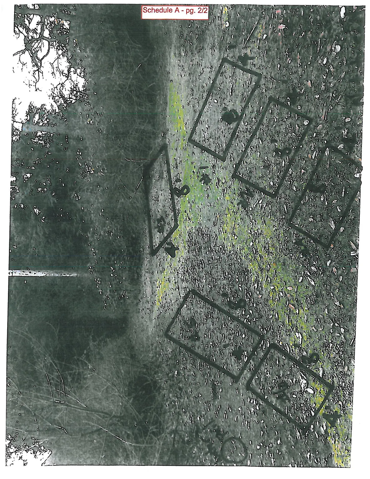 Overhead photograph of a ground area with six rectangular garden plots outlined and numbered 1 through 6.