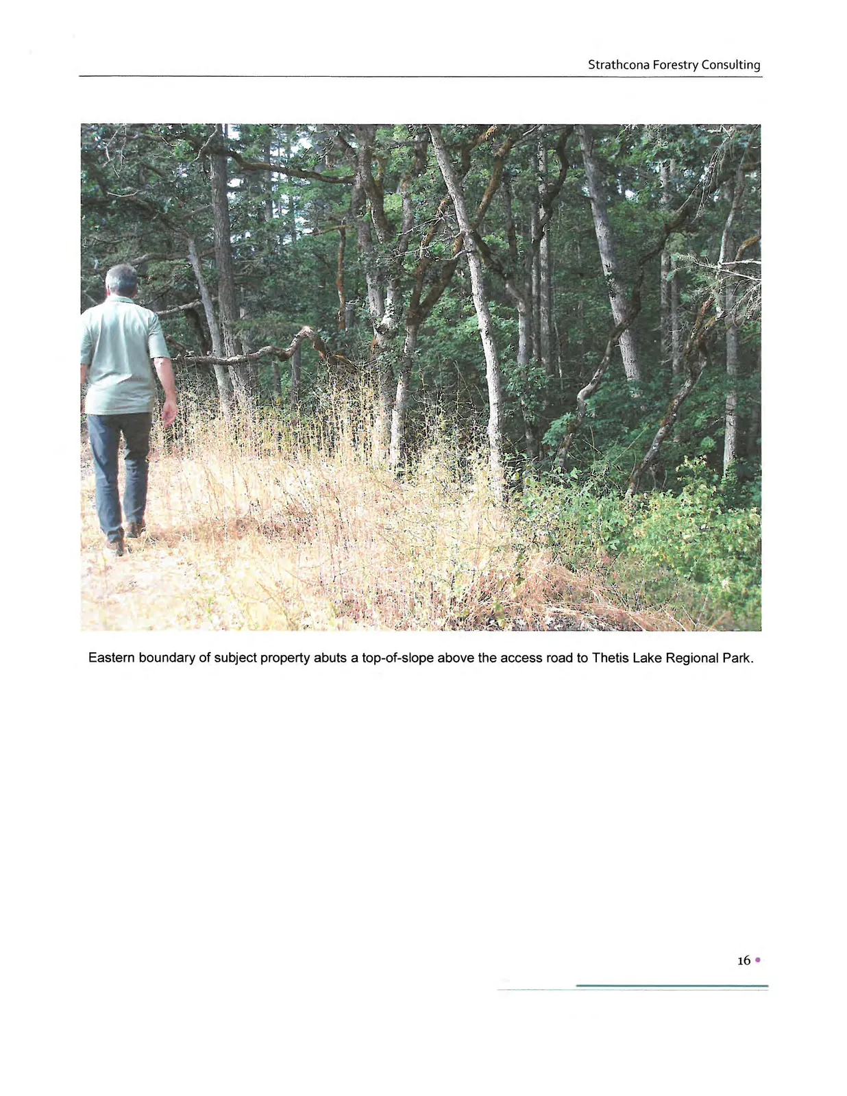 Eastern boundary of subject property abuts a top-of-slope above the access road to Thetis Lake Regional Park.