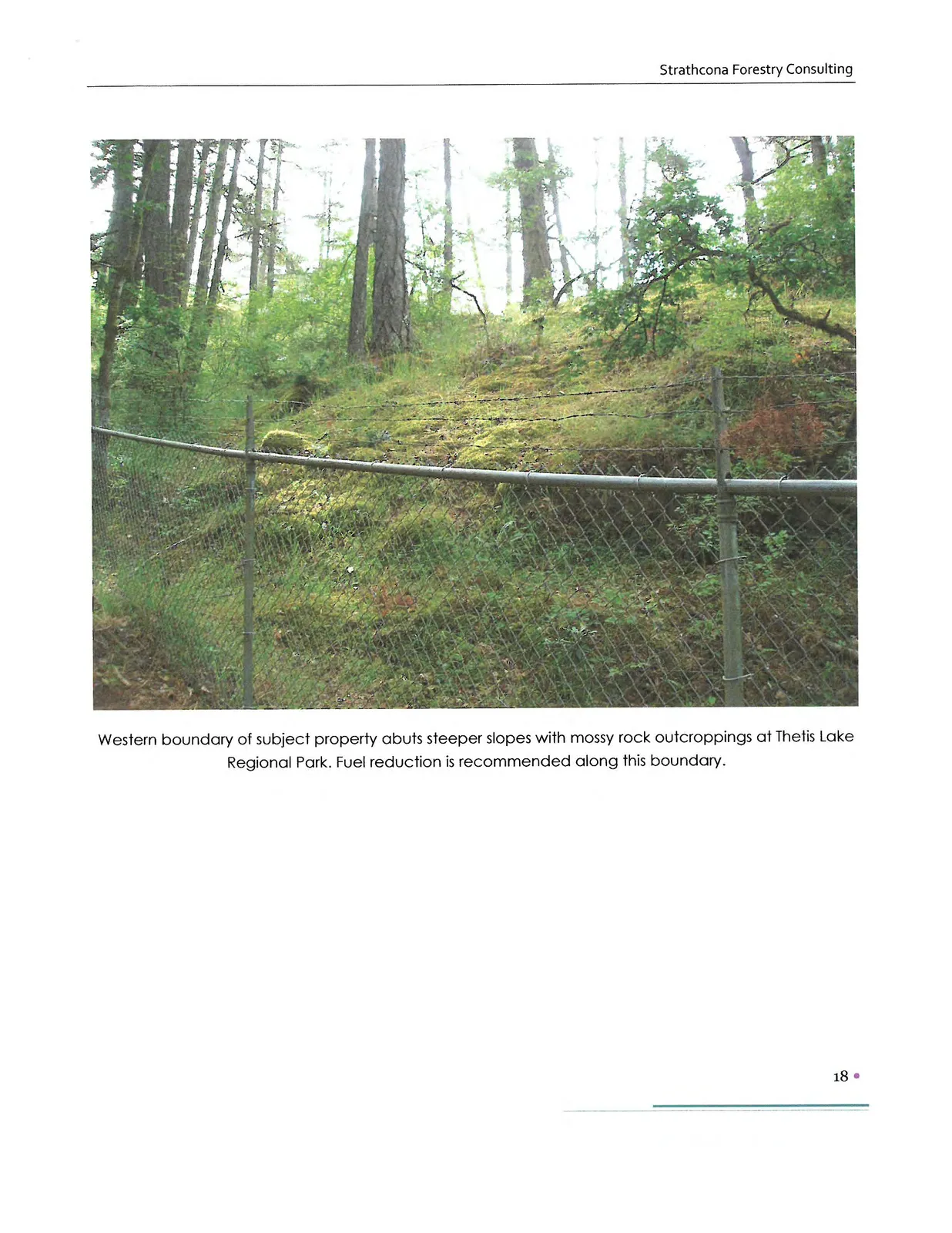Western boundary of subject property abuts steeper slopes with mossy rock outcroppings at Thetis Lake Regional Park. Fuel reduction is recommended along this boundary.