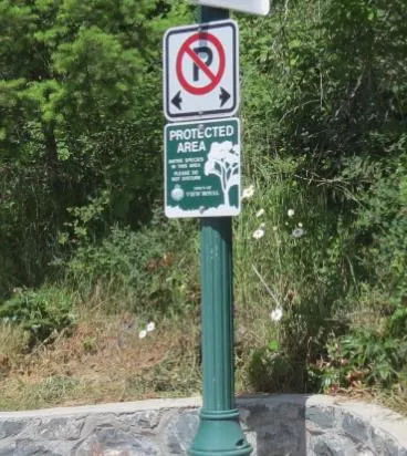 Signage on a streetlight post indicating a protected area for native species