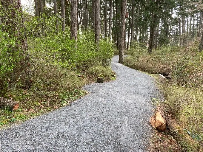 Wooded gravel path before bench installation