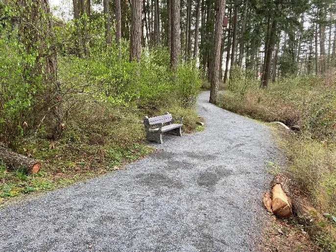 Wooded gravel path after concrete bench installation